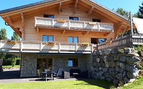 Joli Studio Meuble De 38M2 Dans Chalet Construit En 2016